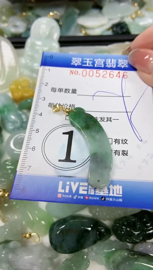 【闪购商品】翡翠颈饰未镶嵌闪购0052646
