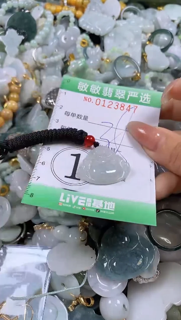 【闪购商品】翡翠颈饰未镶嵌闪购0123847