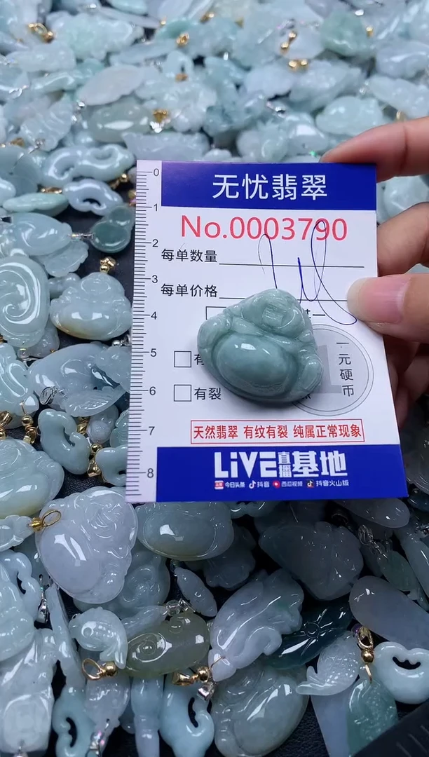 颈饰未镶嵌翡翠3790