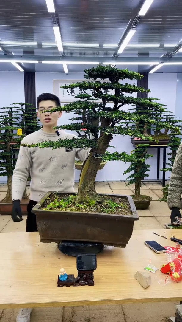 【闪购商品】0000000