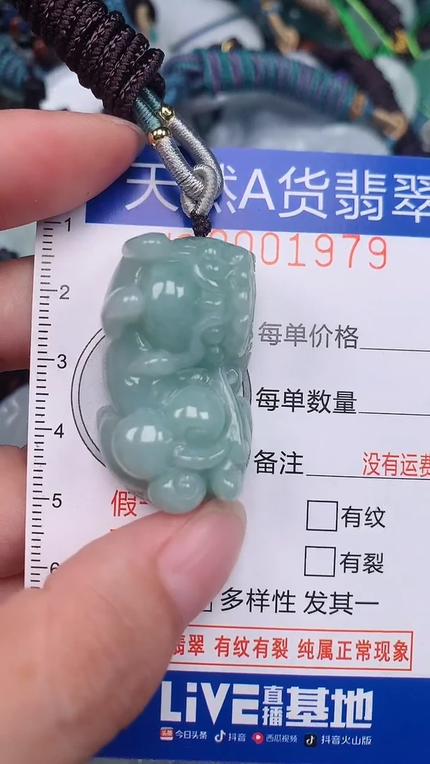 翡翠未镶嵌颈饰...0001979