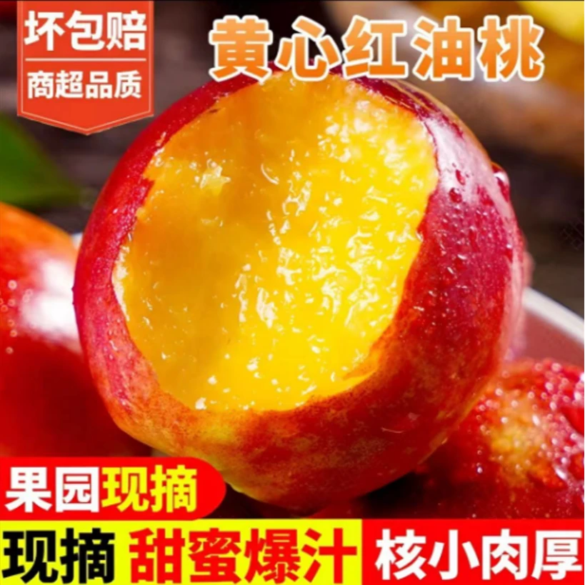 田园采摘红皮黄肉油桃鲜香脆甜应季水果新鲜水果产地直发
