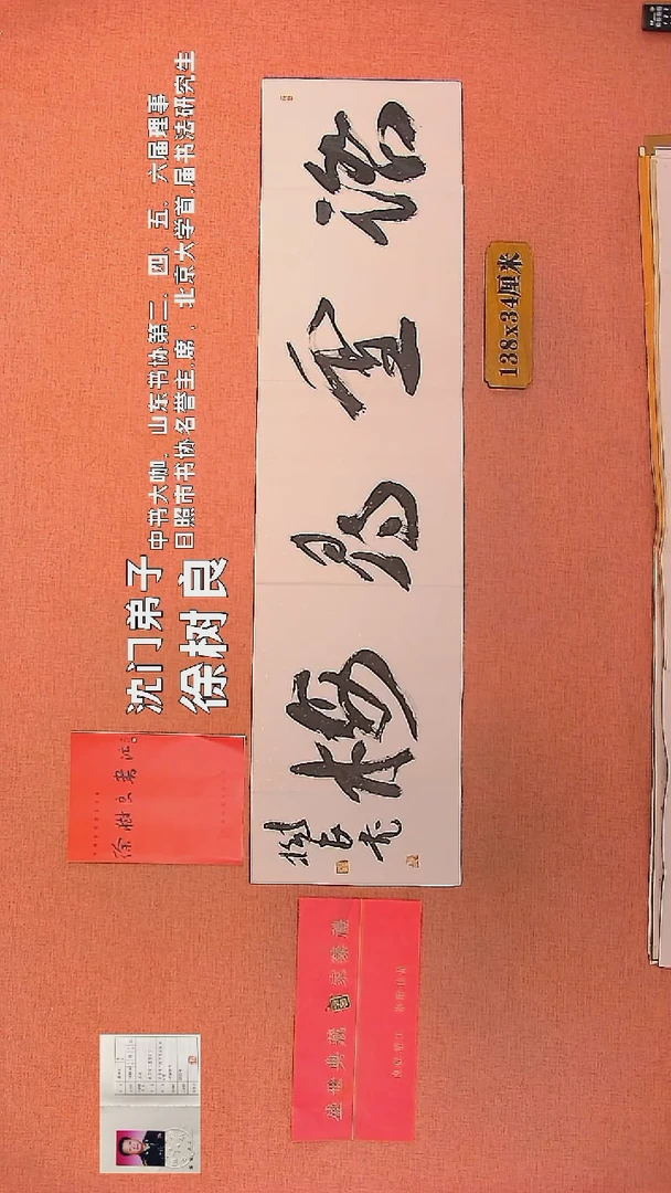 【闪购商品】书法86        徐树良书法作品