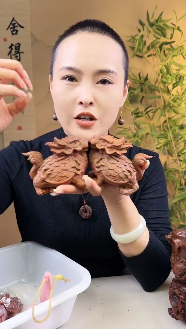 【闪购商品】木龙龟一对