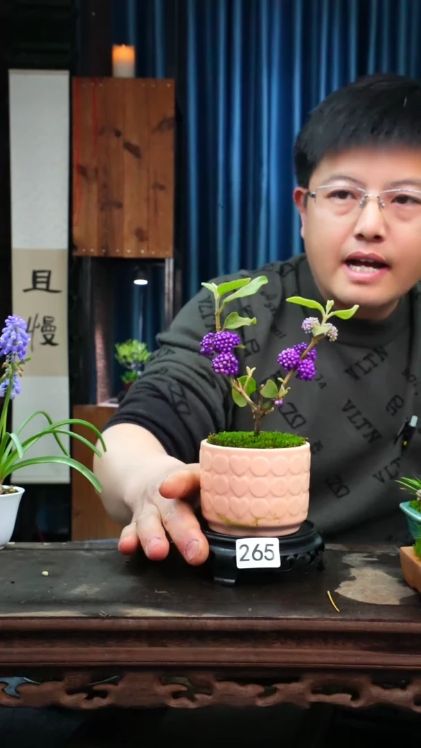 【闪购商品】苔藓微景观265号