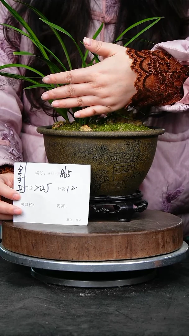 紫砂花盆865+s紫砂花盆