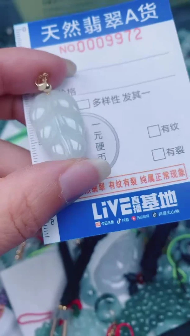 颈饰未镶嵌翡翠00009972
