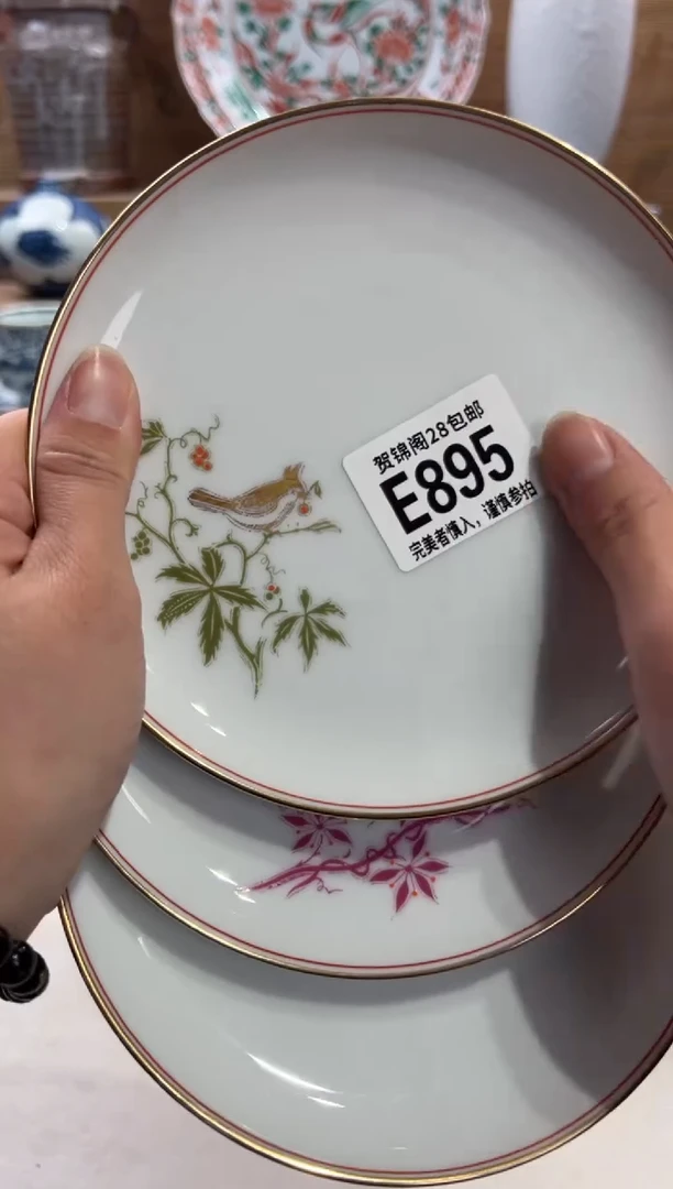 瓷片毛*       E895