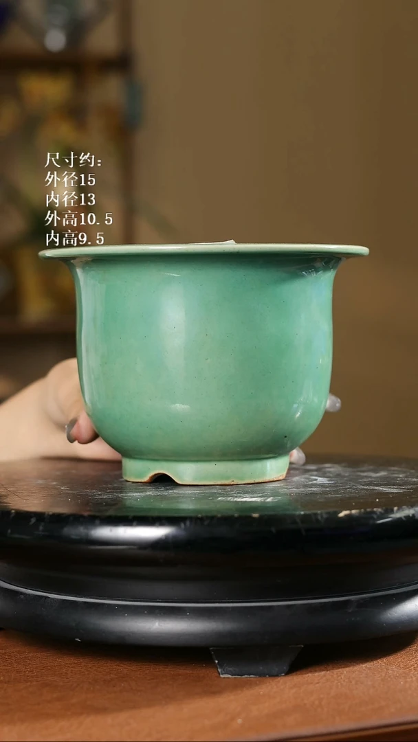 637    6.5寸满堂春金钟盆