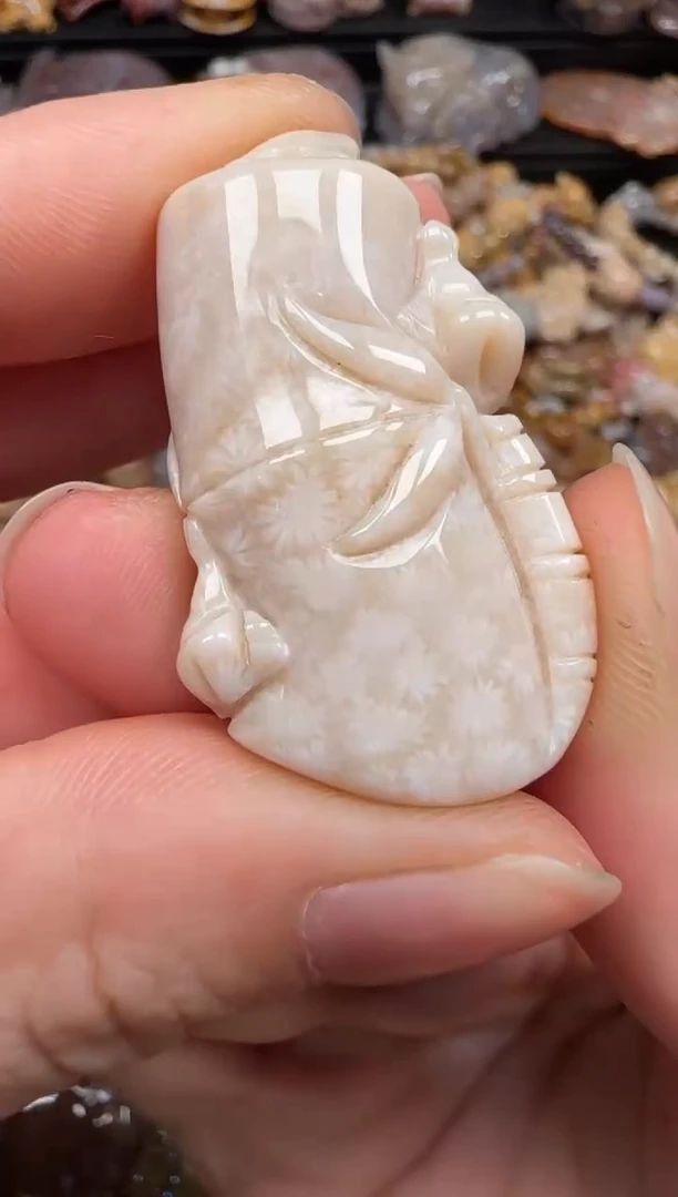 硅化珊瑚（珊瑚玉）未镶嵌颈饰181