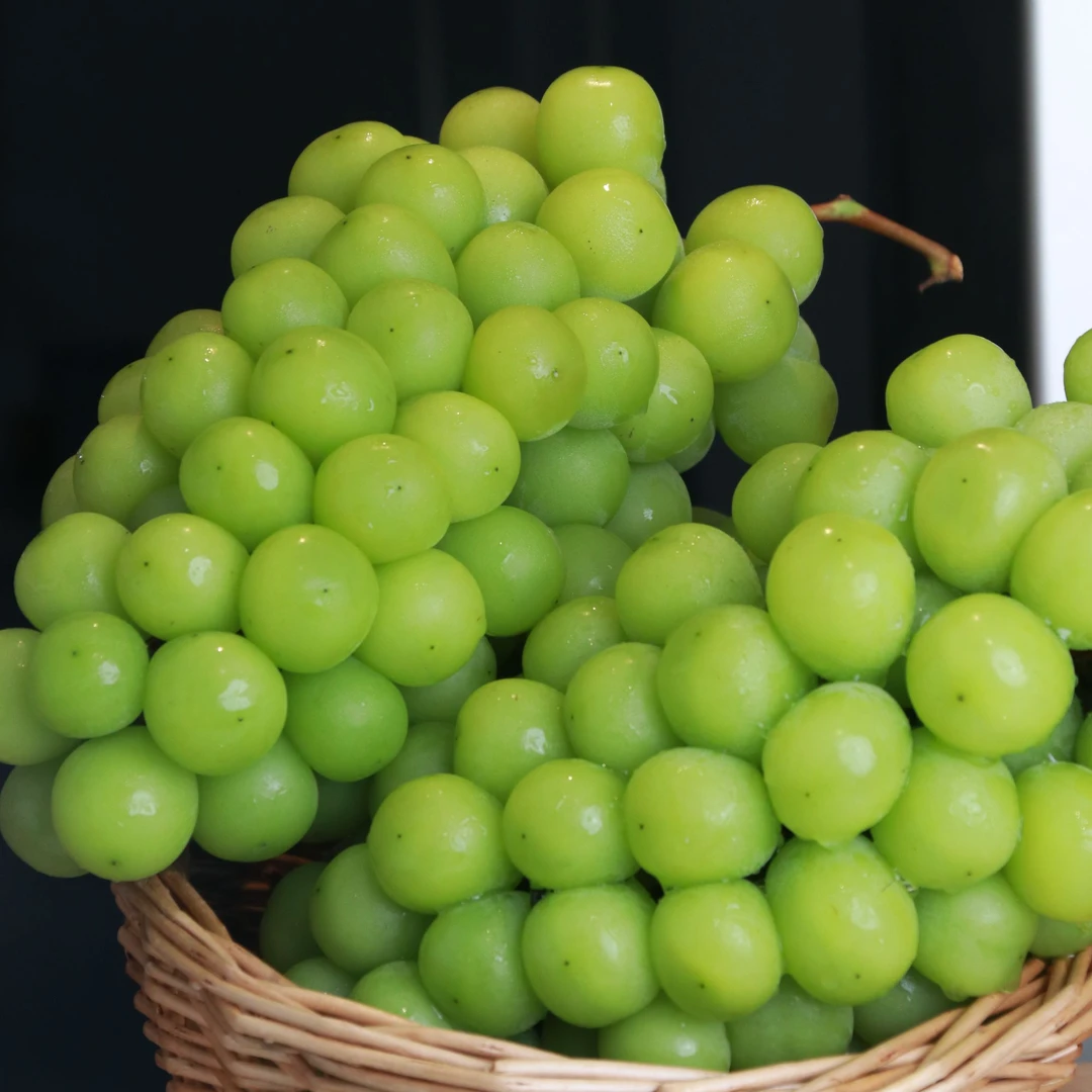 【奇幻果园】四川西昌阳光玫瑰（2串-3串）