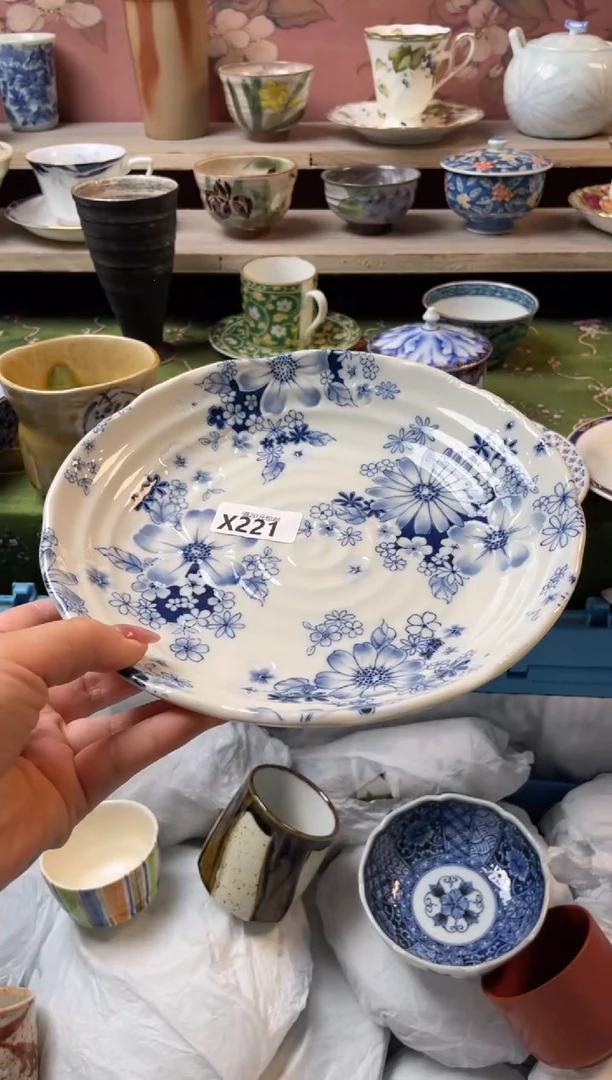 瓷片瓷器瓷器X221