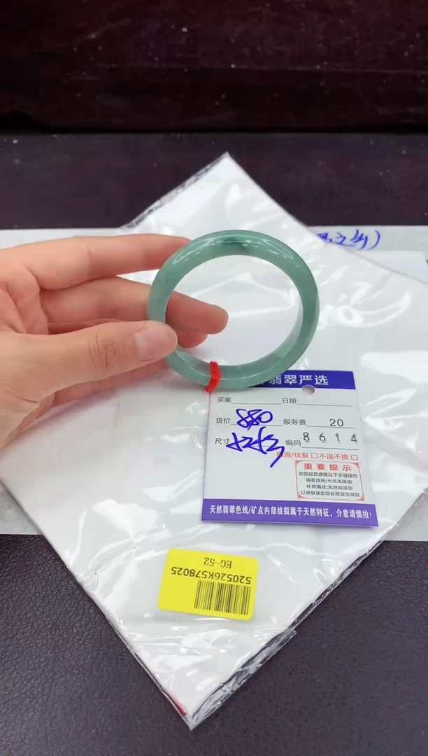 未镶嵌手镯翡翠11111