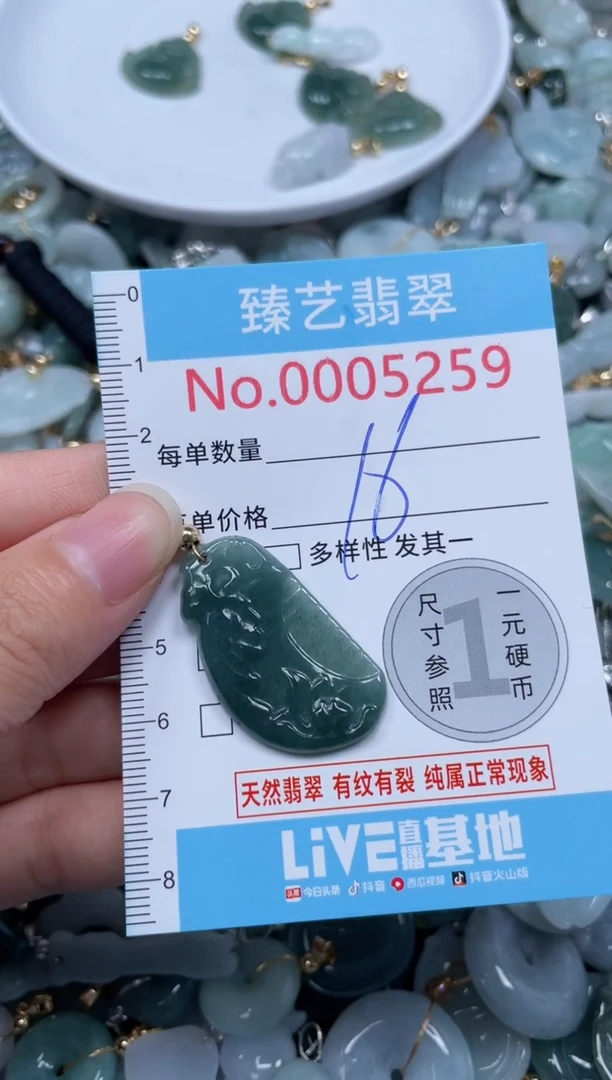 颈饰未镶嵌翡翠5259