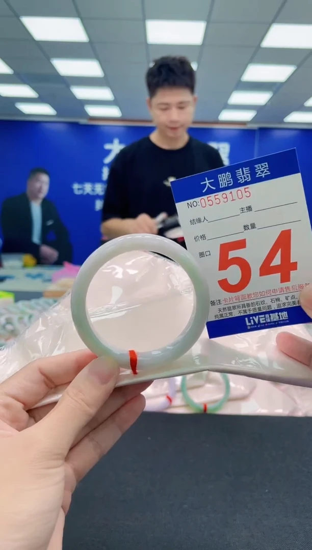 未镶嵌手镯翡翠AAAAAAAAA