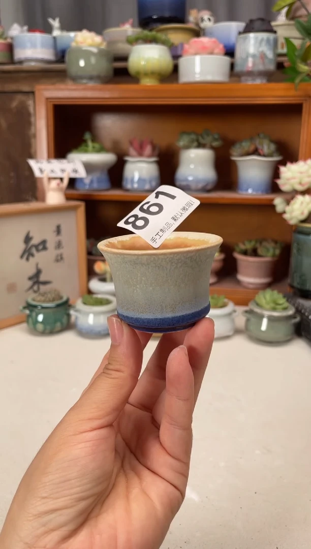 瓷片861知木小芳花盆