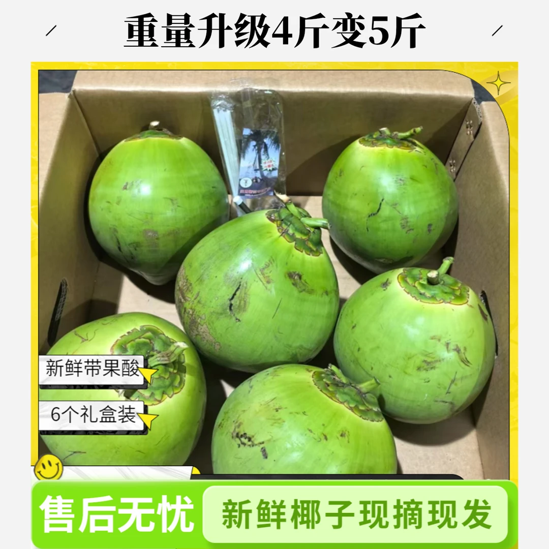 【6个装大果】海南新鲜椰青孕妇水果现摘带皮椰子清甜解渴青皮椰
