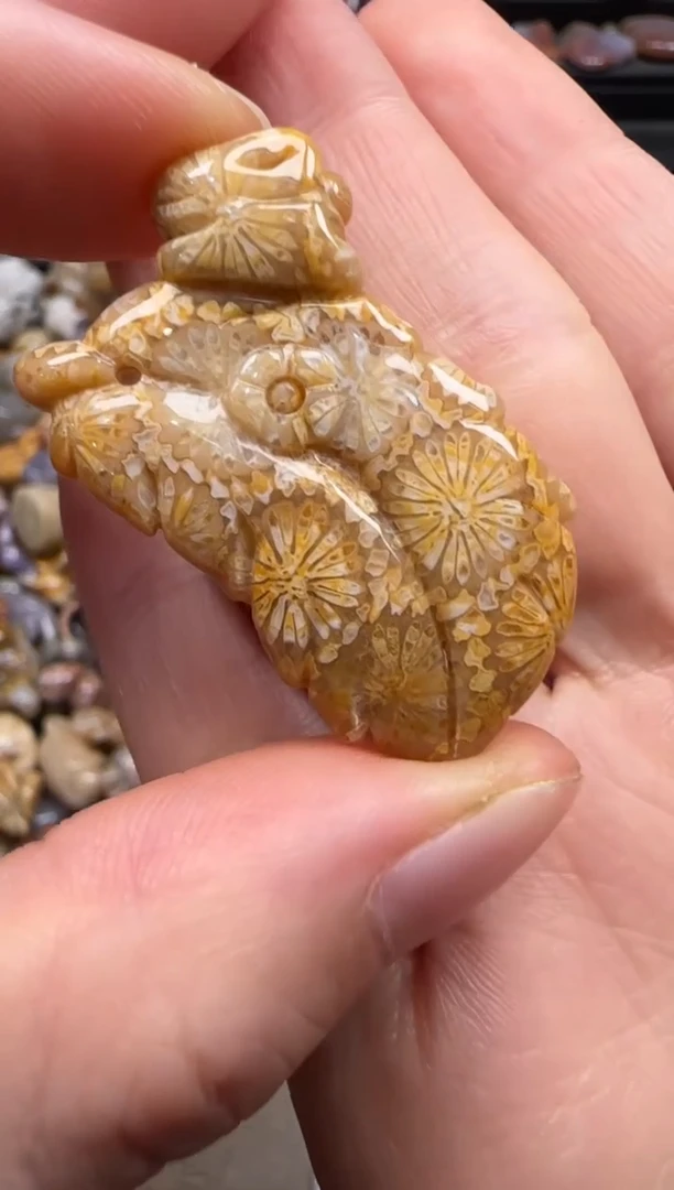 【闪购商品】硅化珊瑚（珊瑚玉）颈饰未镶嵌599