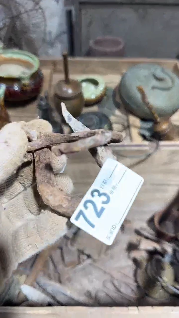 【闪购商品】闪购0616小龙专属链接