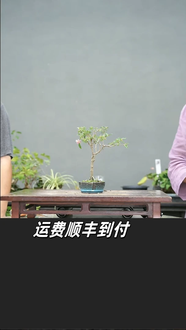 ?****染132