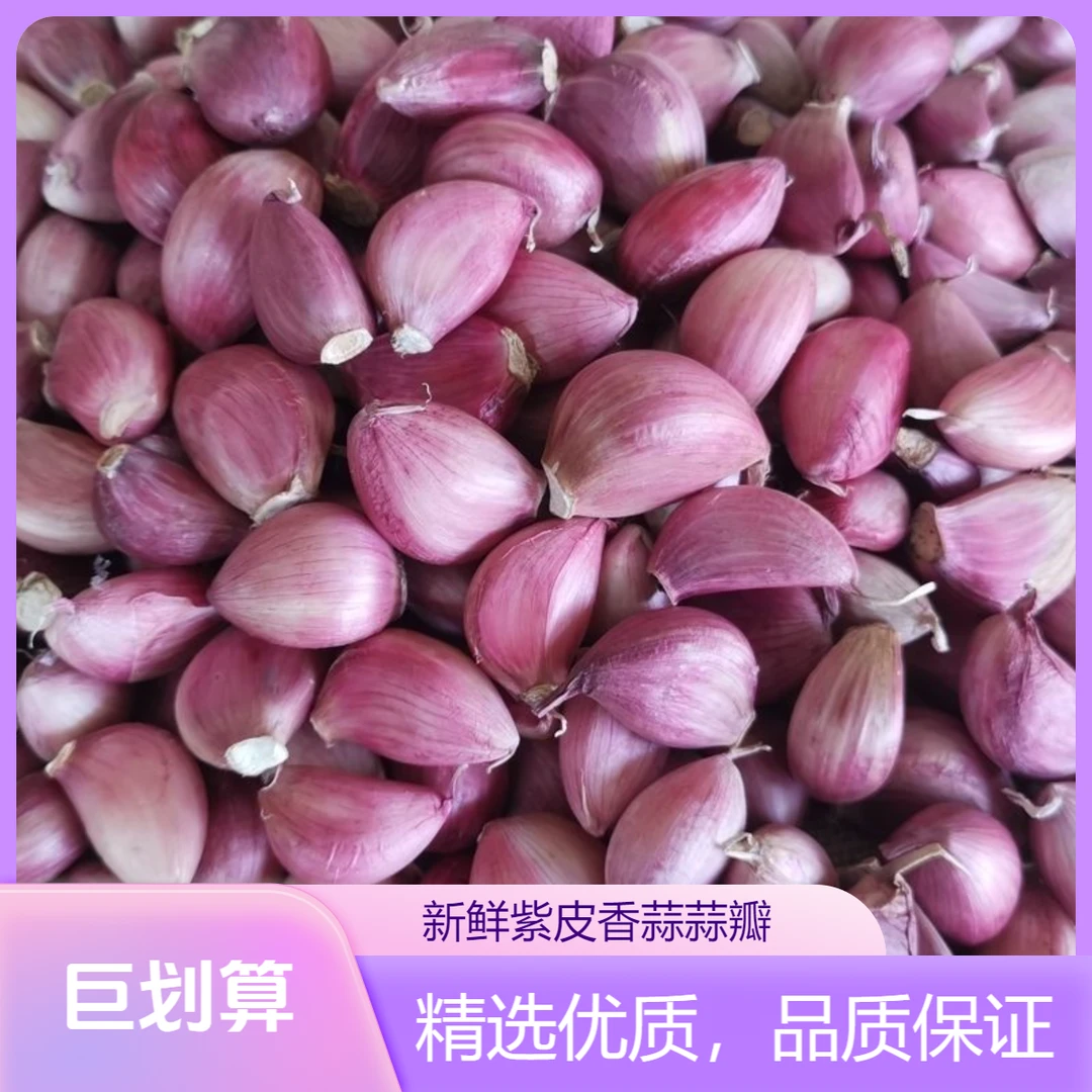 【云南香蒜】2025新蒜可吃可种紫皮蒜瓣香蒜新干蒜老品种蒜瓣精品