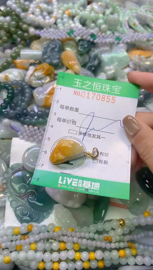 颈饰未镶嵌翡翠闪购0170855