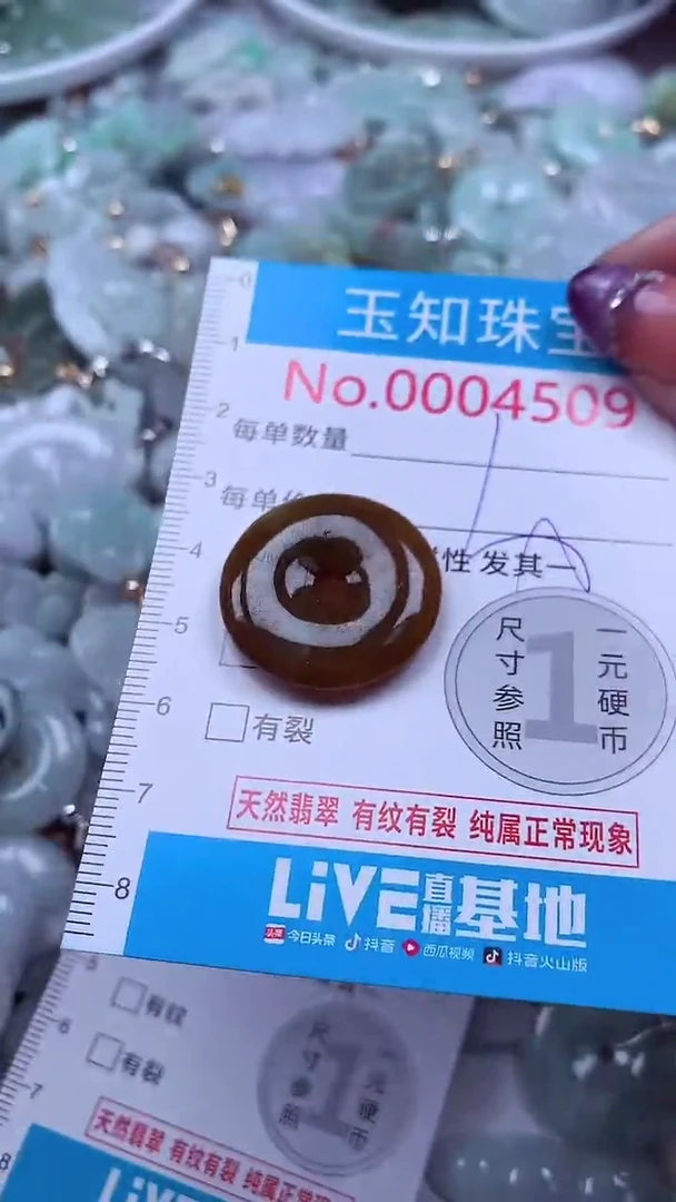 翡翠未镶嵌吊坠(不含链)4509