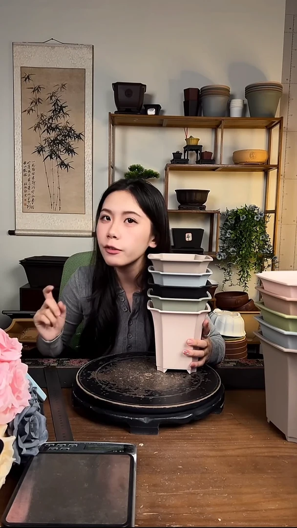 14.5四方尊 6只装颜色随机