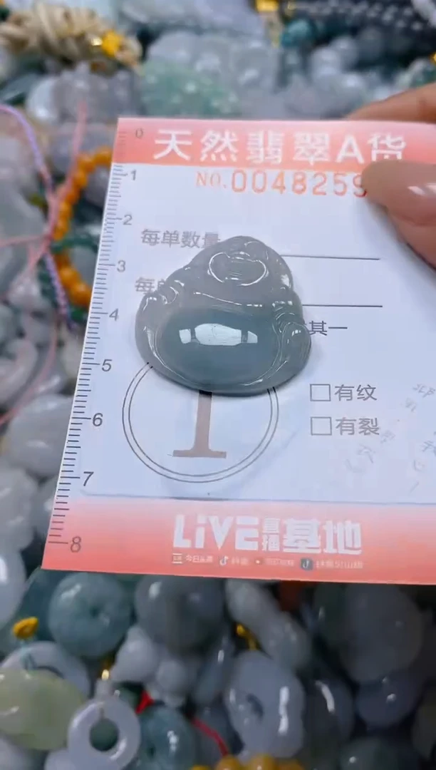 翡翠未镶嵌颈饰闪购0048259