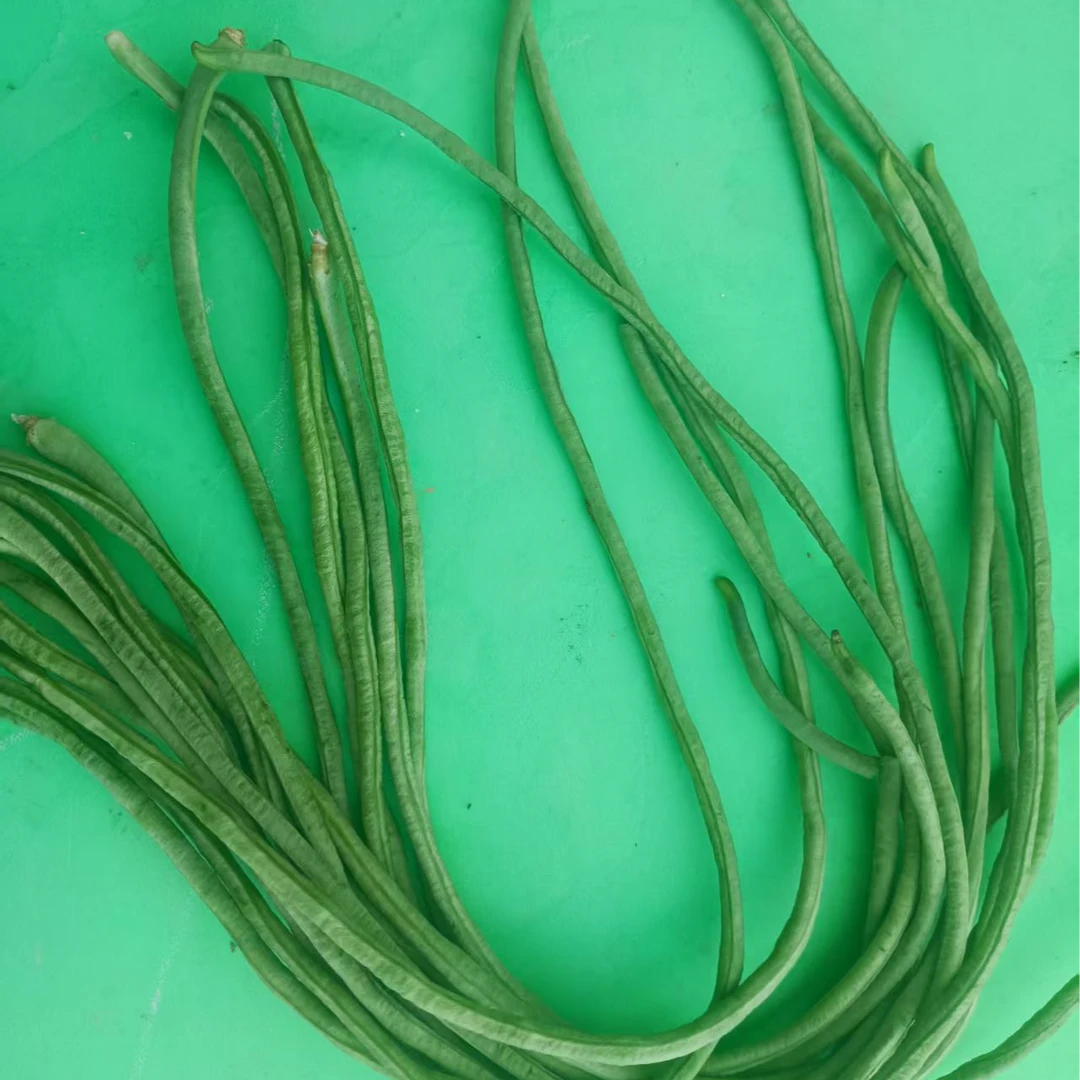 【灵璧】新鲜长豆角现摘现发新鲜蔬菜