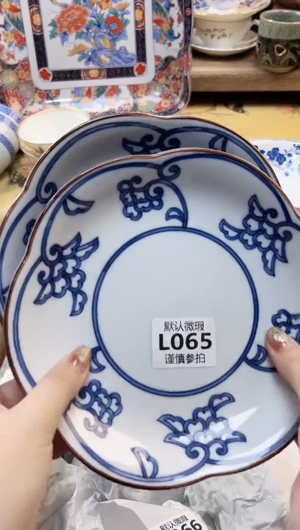 瓷片N**o     65