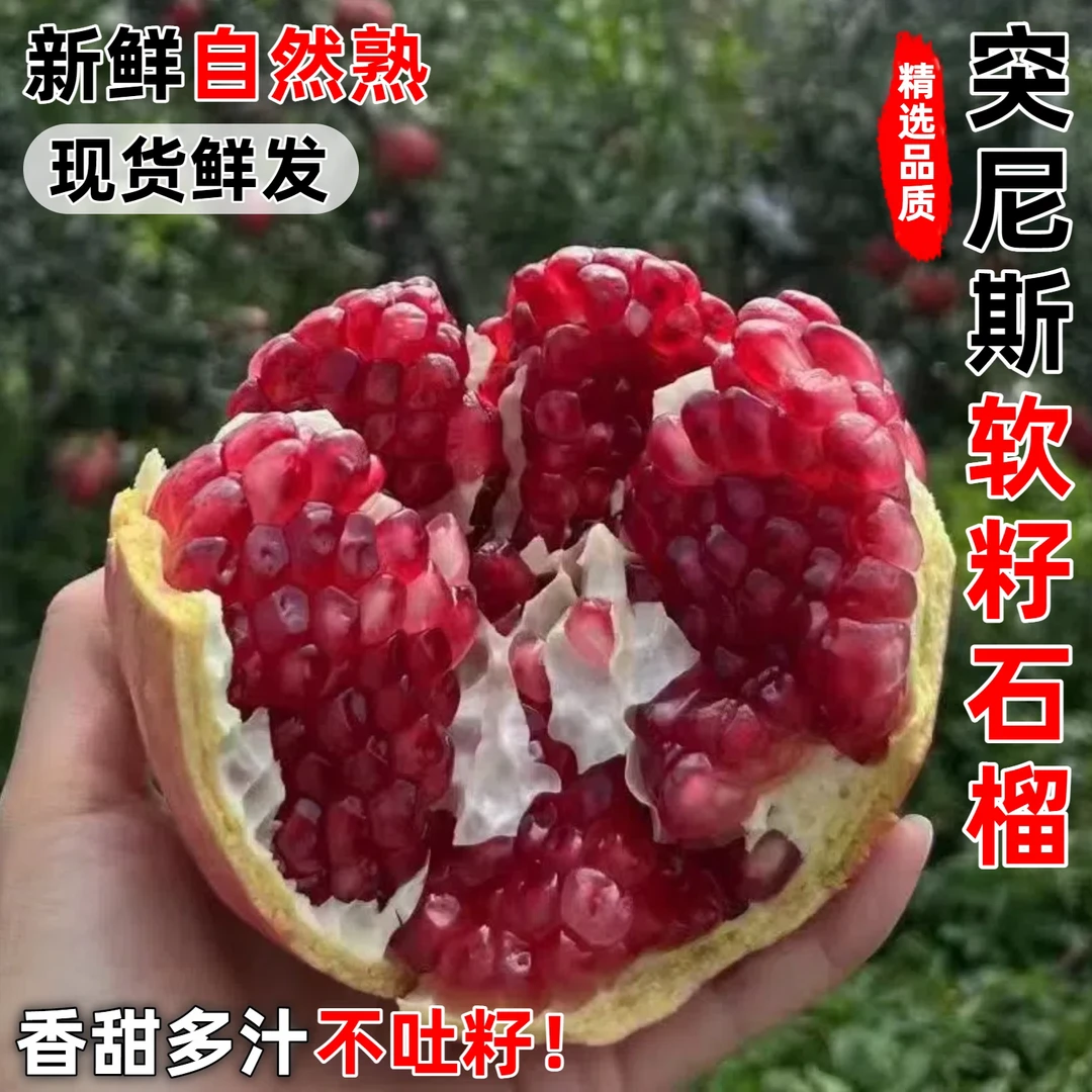 突尼斯软籽石榴