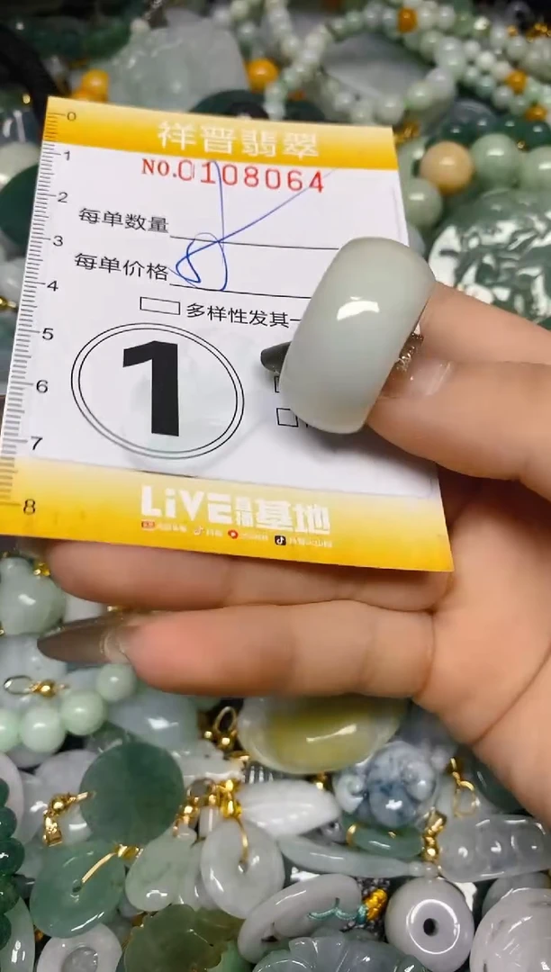 【闪购商品】翡翠颈饰未镶嵌闪购0108064