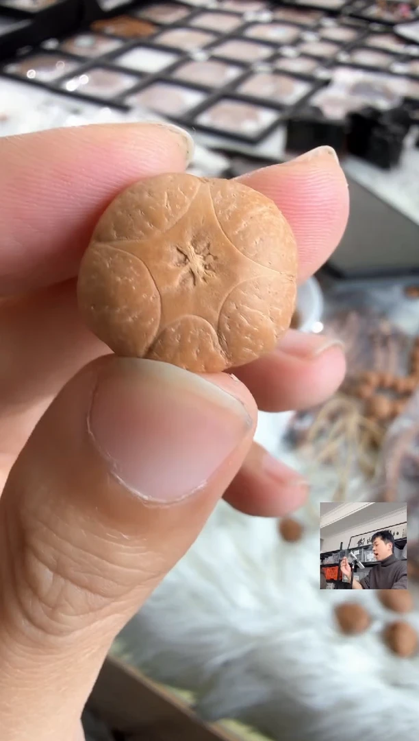 吊坠凤眼菩提4848三通