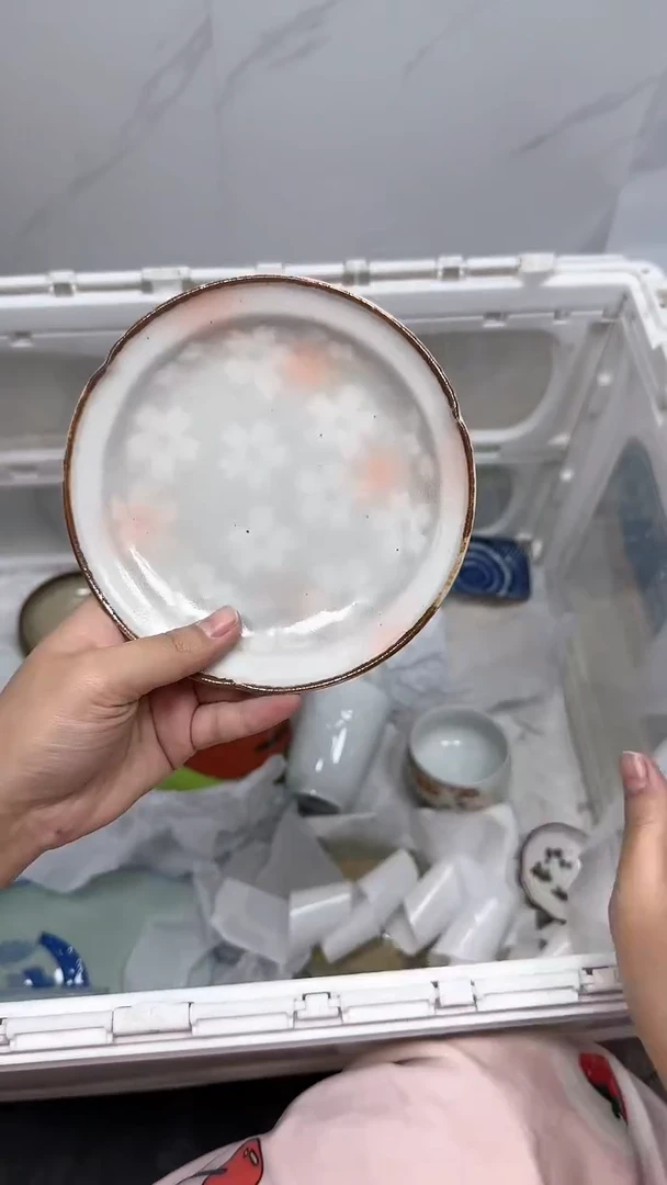 【闪购商品】1435回流瓷器默认微瑕，18.8包邮