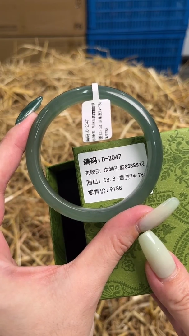 未镶嵌手镯石英岩玉D-2047
