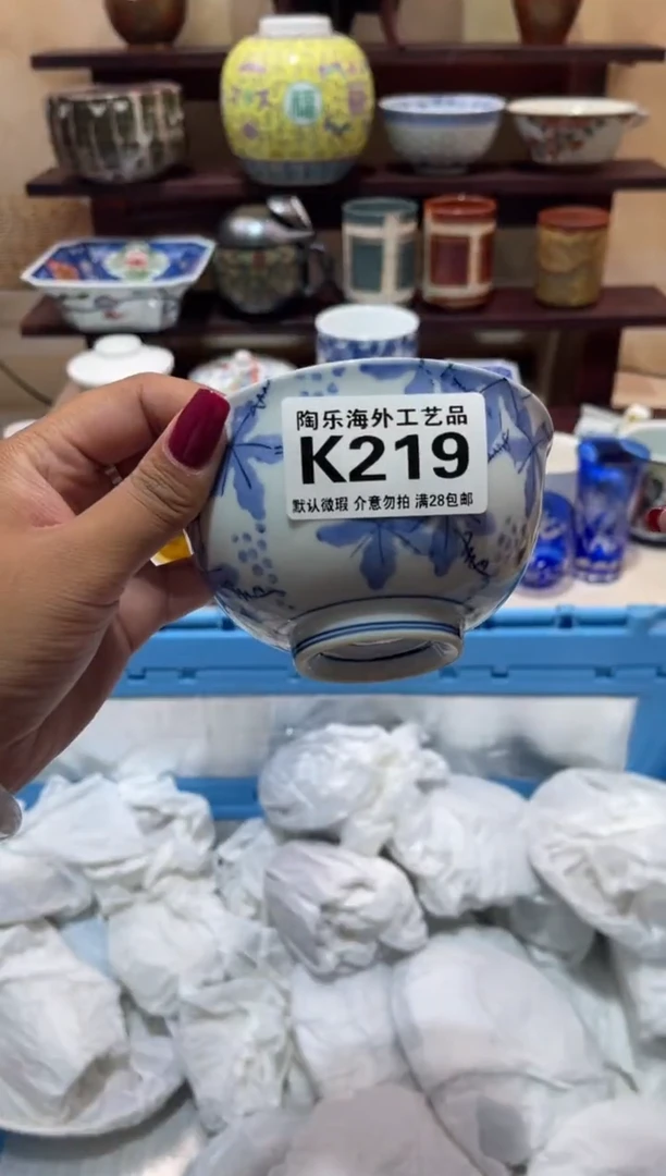 瓷片深***鱼          K219