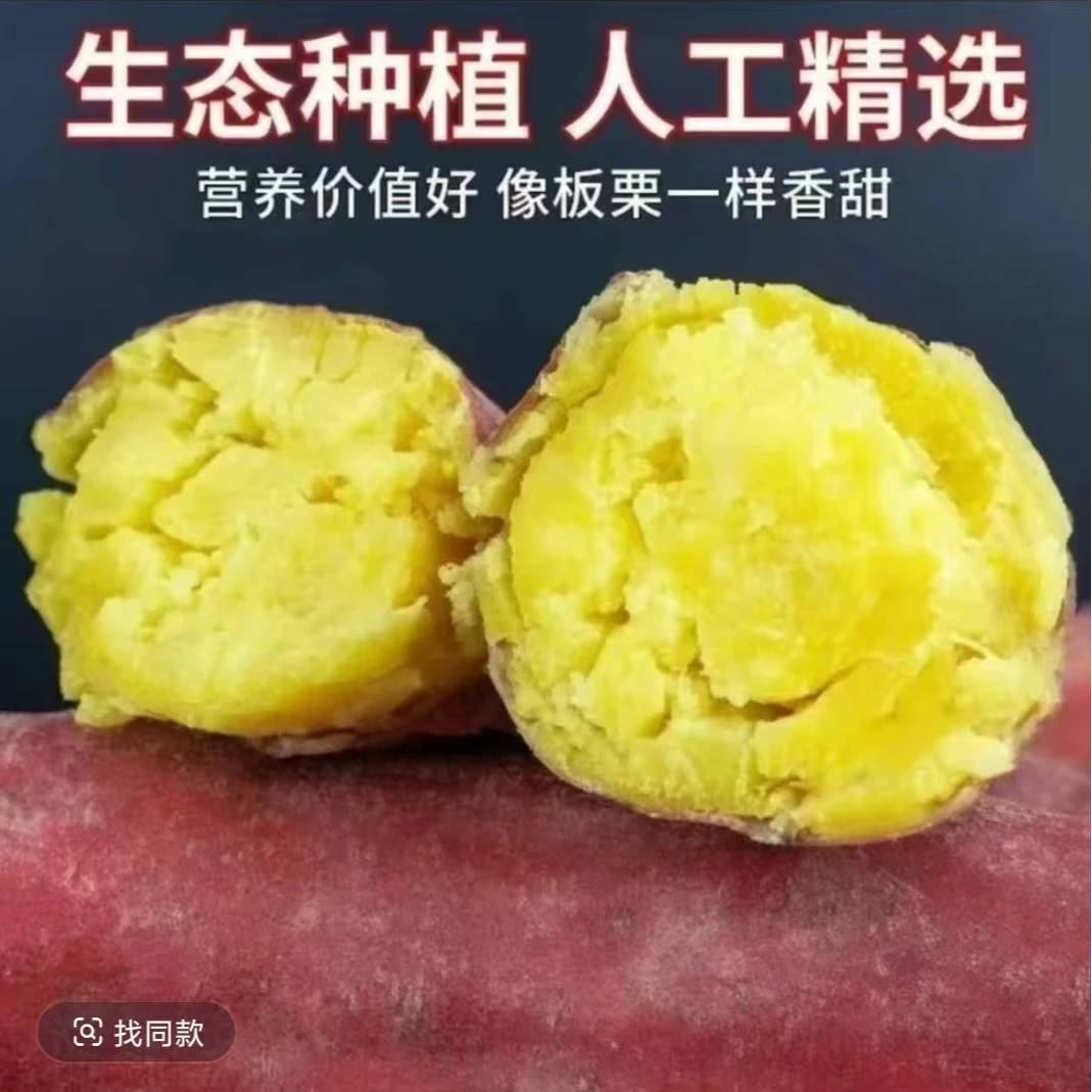 【助农行动】山西农民自家种植济薯26板栗红薯甜糯可口地瓜番薯