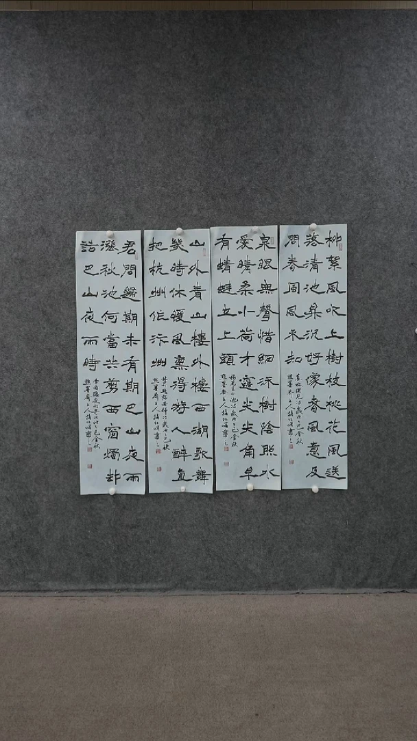 书法书法ZHX老师书法作品