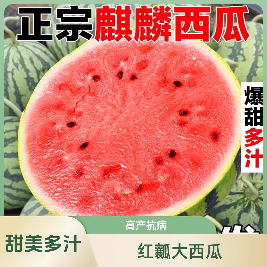 【顺丰次日达】9斤新鲜美都麒麟瓜精品商超头茬西瓜农家自种植采摘爆甜多汁