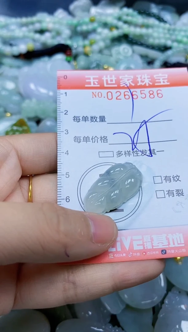 翡翠未镶嵌颈饰闪购0266586