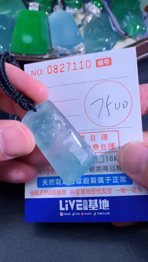 颈饰未镶嵌翡翠天然A货翡翠