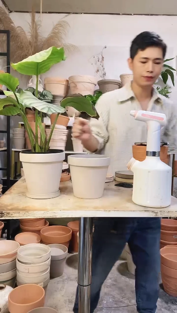 饭*呀15*14玛奇朵 2盆2托