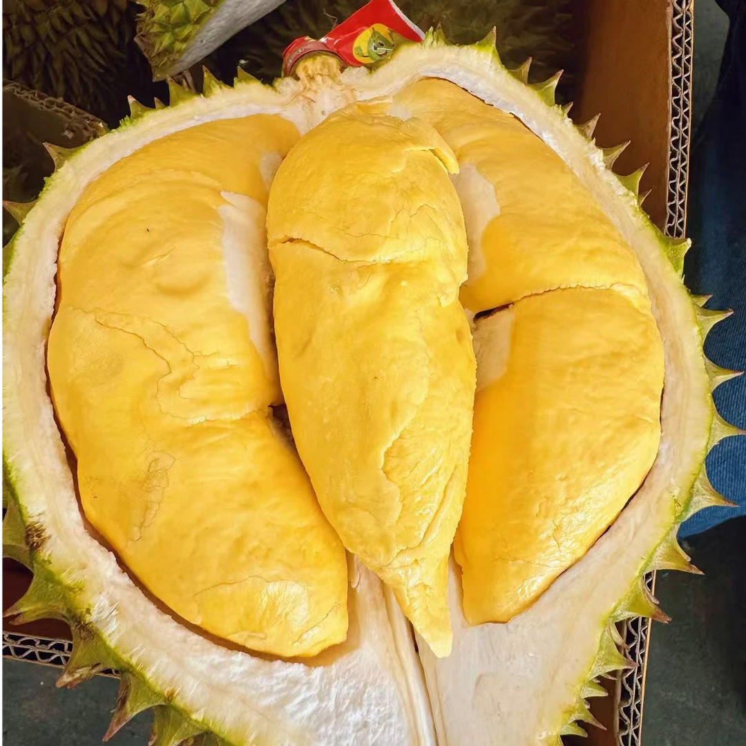 满200送金枕巴掌榴莲-泰国东部长柄带壳鲜榴莲