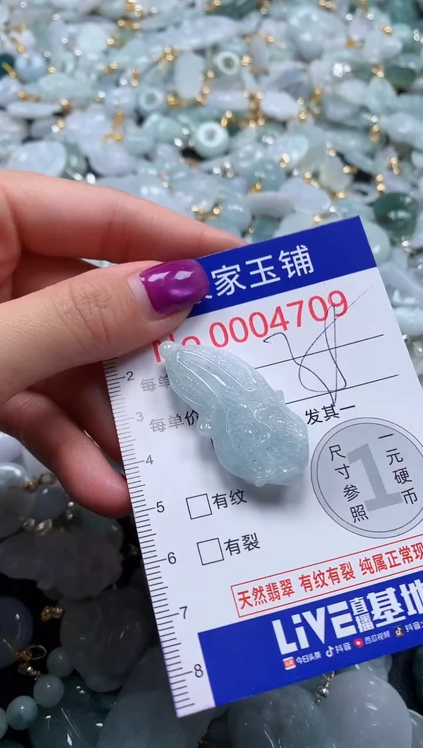 颈饰未镶嵌翡翠4709