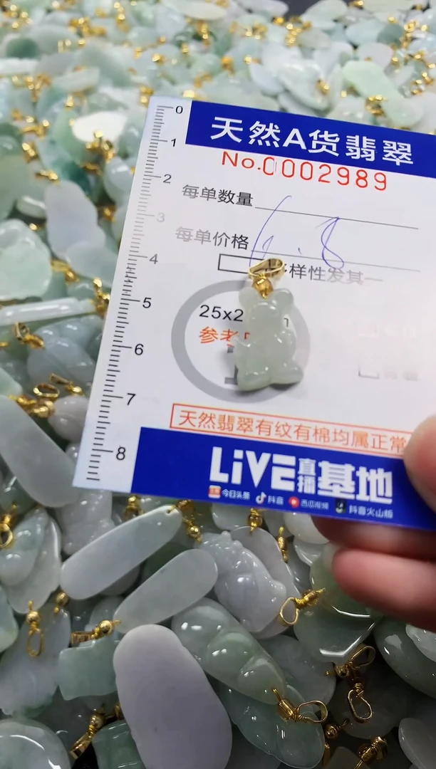 颈饰未镶嵌翡翠纯天然A货翡翠