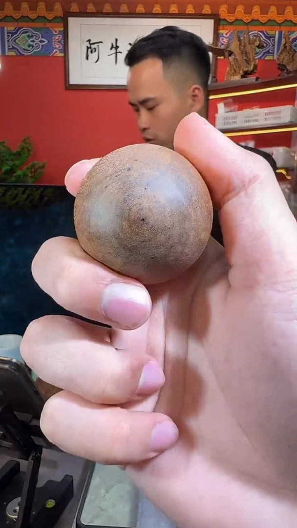 沉香手串归**虹170号多样性发一