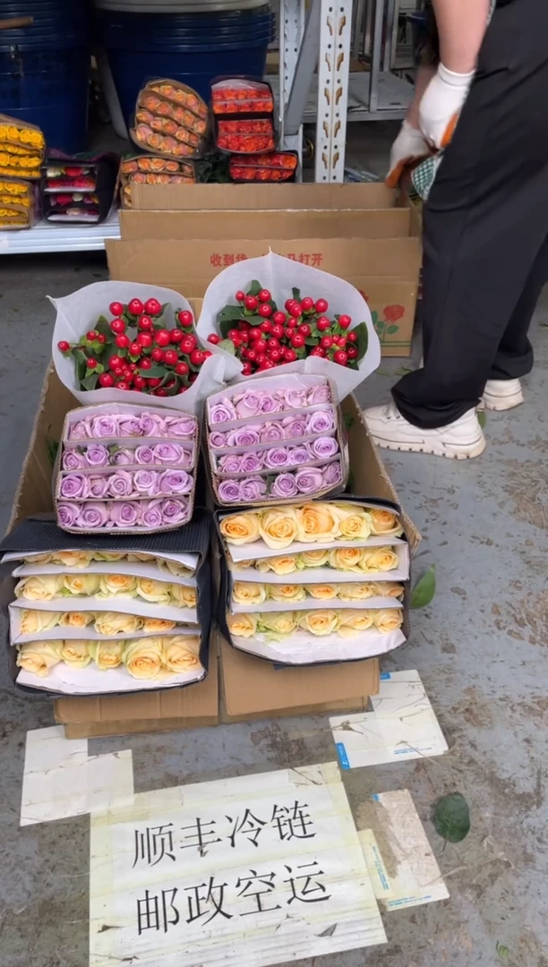 香槟20枝+海洋之歌20枝+红豆