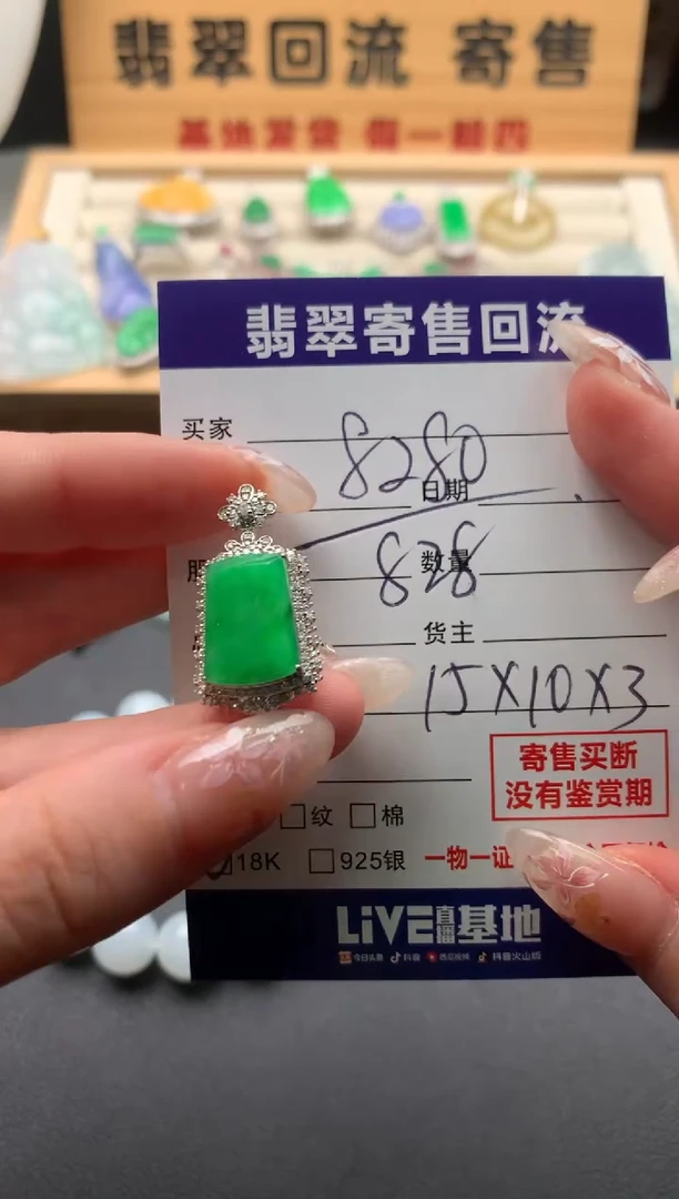 翡翠18K金镶嵌颈饰10134256