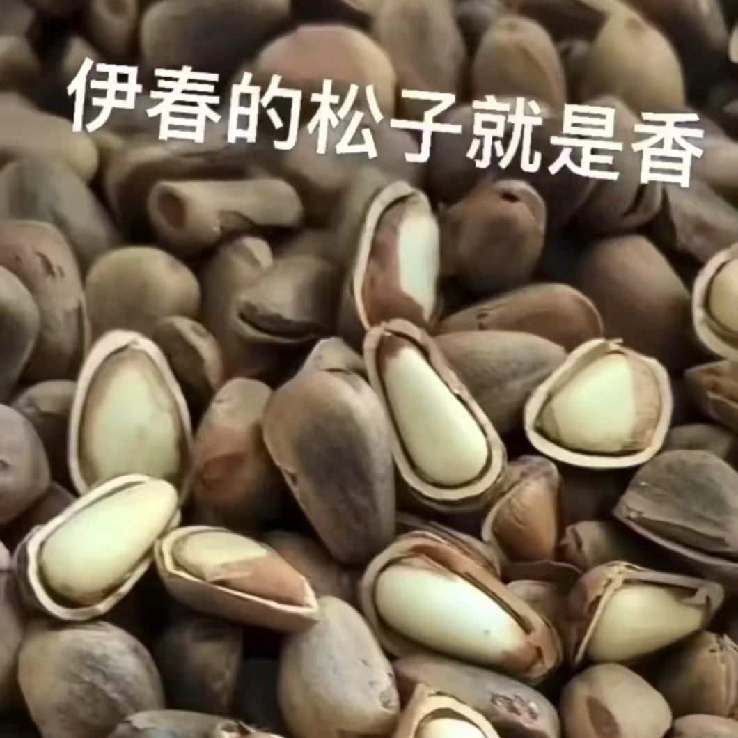 伊春特产铁锅笨炒开口松子非油炸无添加